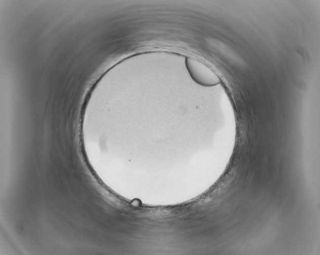 X0000110681525200907241033