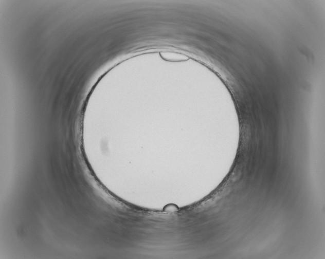 X0000110681526200907241033