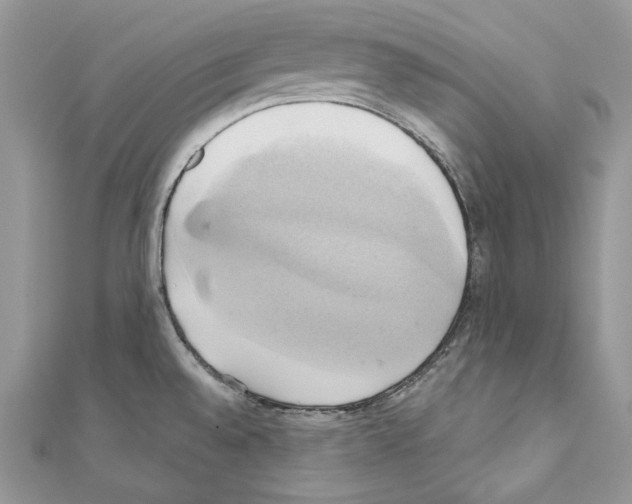 X0000110681528200907241033