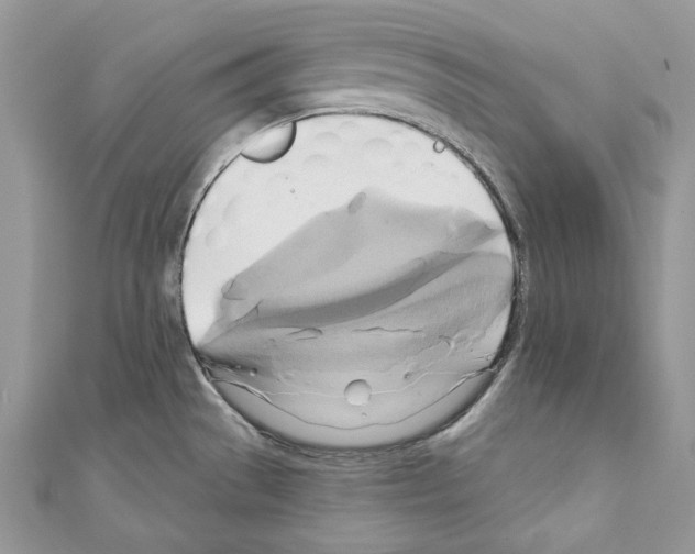 X0000110681529200907241033