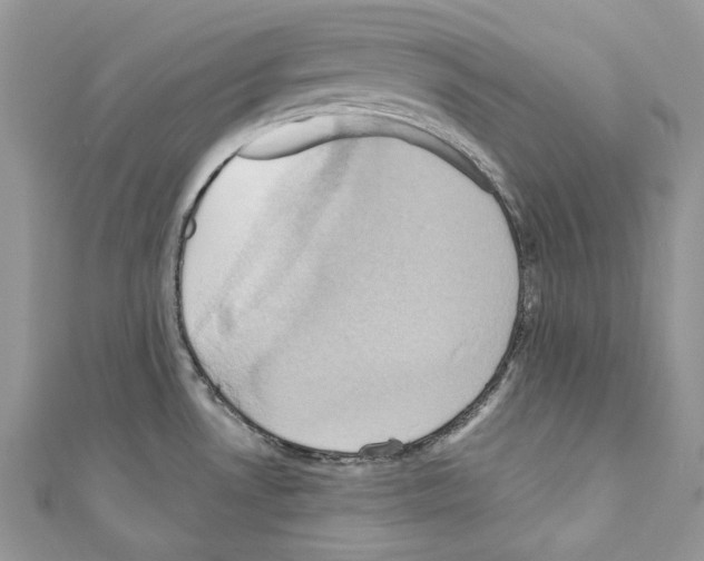 X0000110681530200907241033