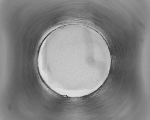 X0000110681531200907241033