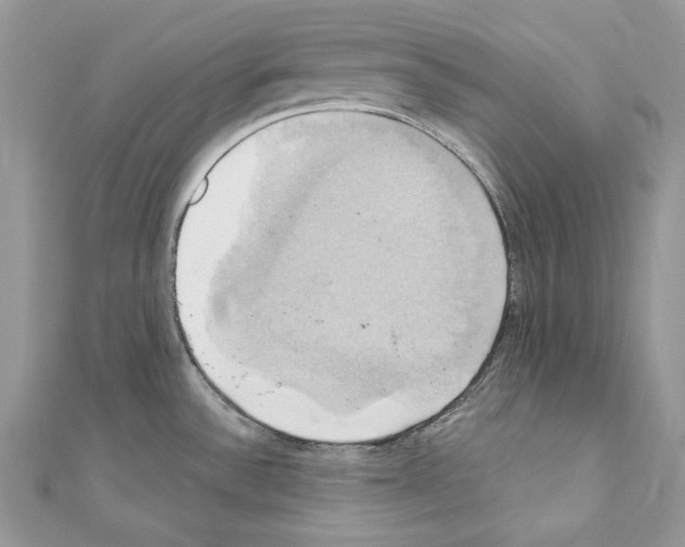 X0000110681532200907241033