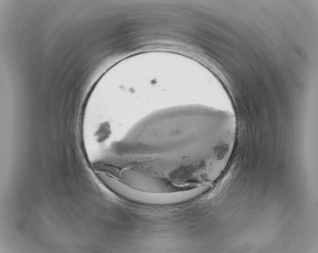 X0000110681533200907241033