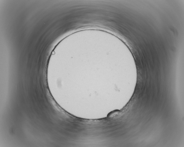X0000110681534200907241033