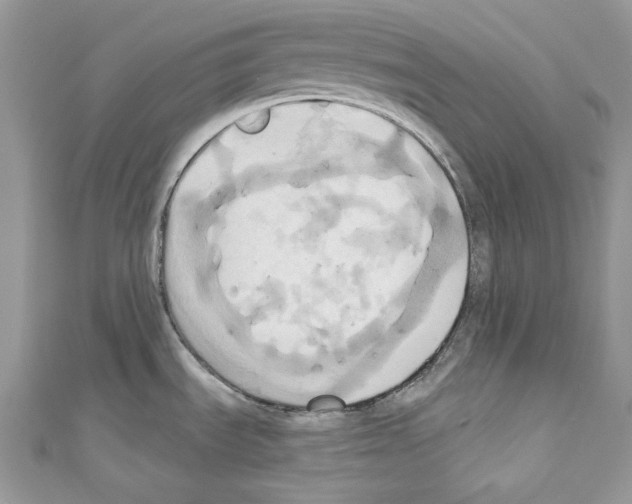 X0000110681535200907241033