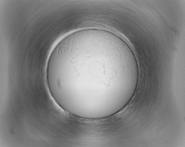 X0000110681536200907241033