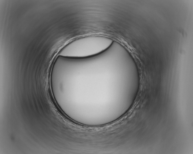 X0000110690002200906121106