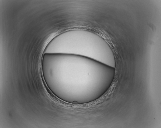 X0000110690003200906121106