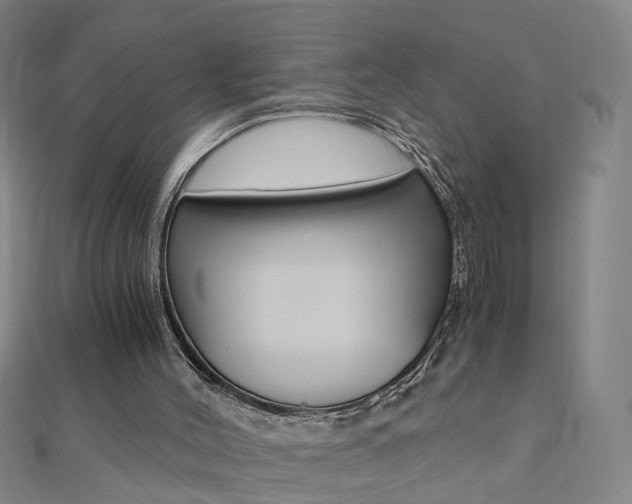 X0000110690004200906121106