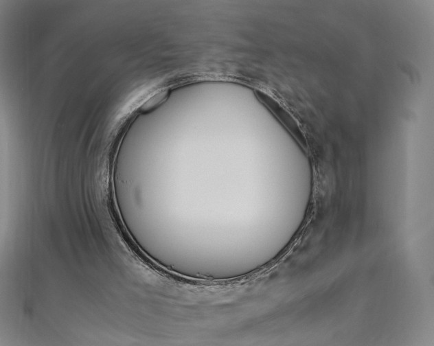 X0000110690005200906121106