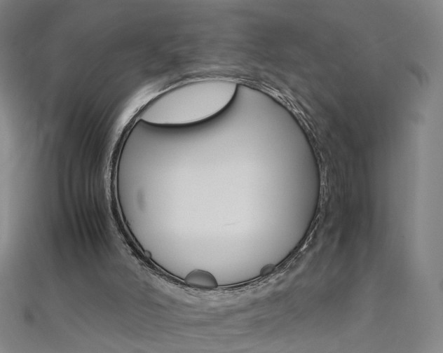 X0000110690006200906121106