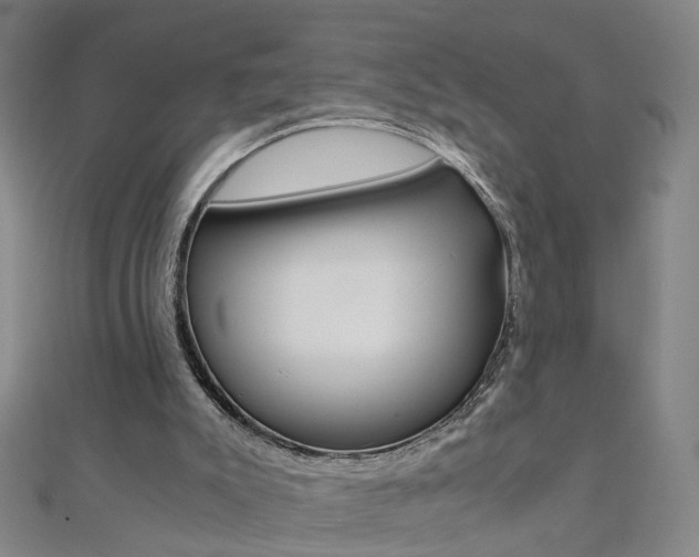 X0000110690007200906121106