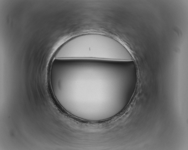 X0000110690008200906121105