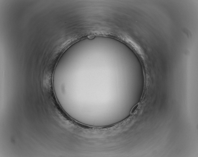 X0000110690009200906121105