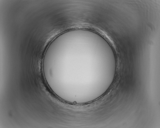 X0000110690010200906121105