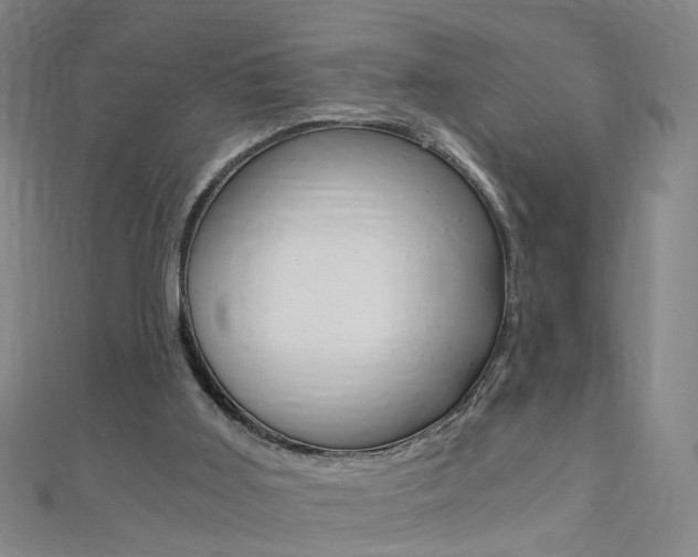 X0000110690011200906121105