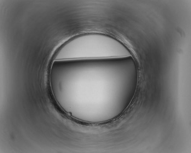 X0000110690012200906121105