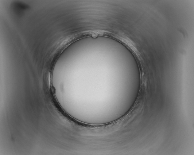 X0000110690013200906121105