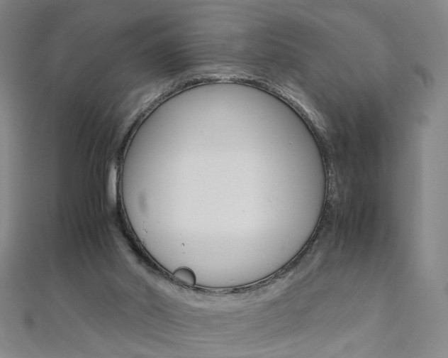 X0000110690014200906121105