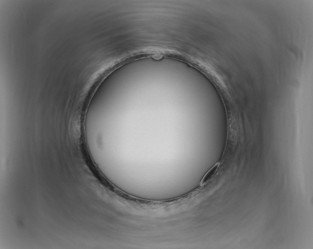 X0000110690015200906121105