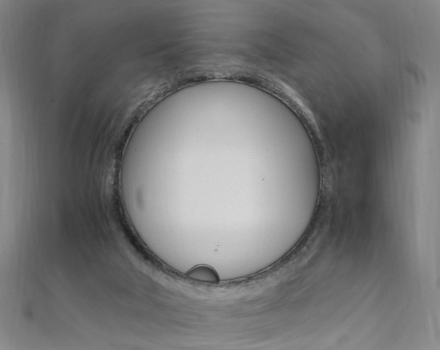 X0000110690018200906121105