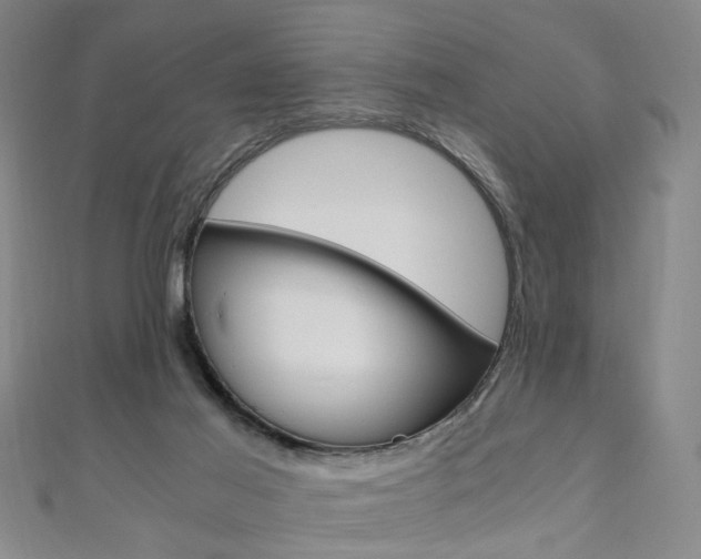 X0000110690021200906121105