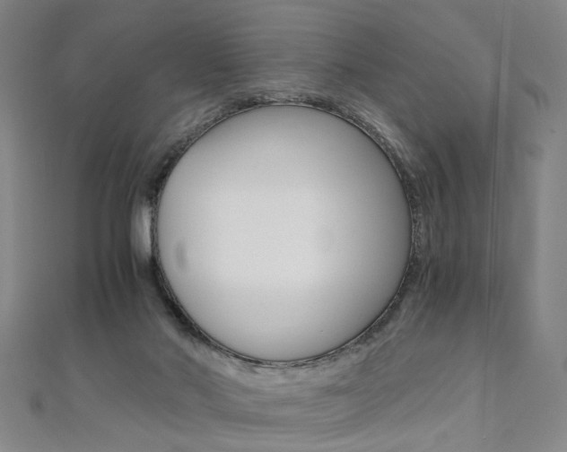 X0000110690022200906121105