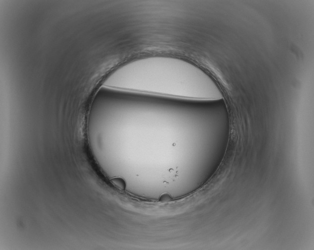 X0000110690023200906121105