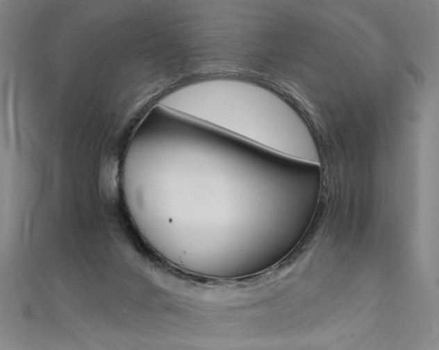 X0000110690024200906121105