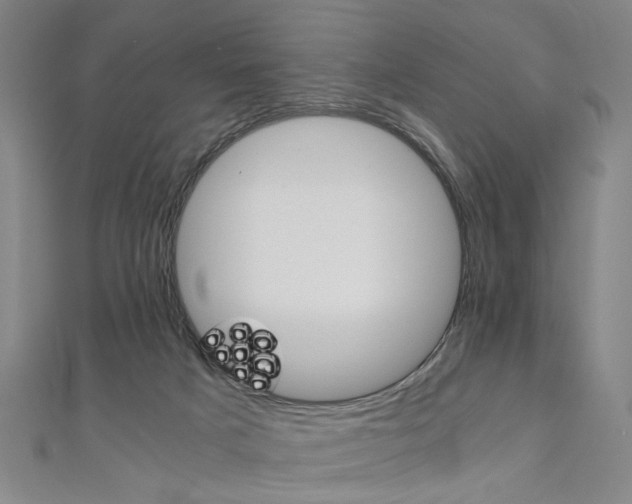 X0000110690025200906121105