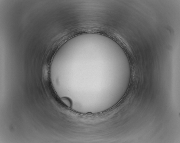 X0000110690026200906121105