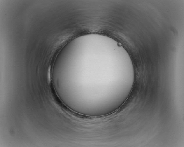 X0000110690028200906121105