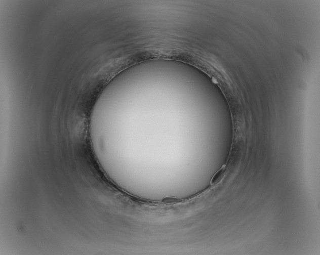 X0000110690029200906121105