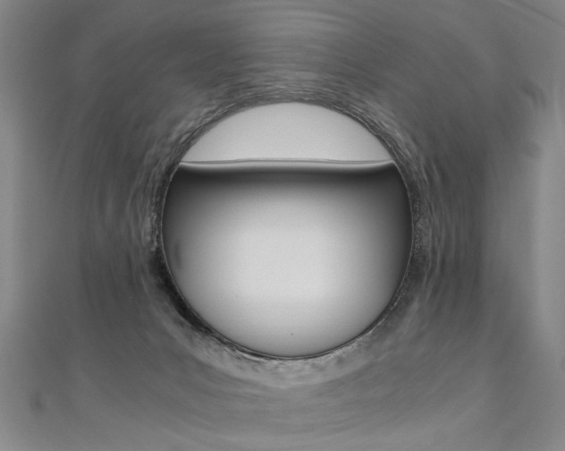 X0000110690031200906121105