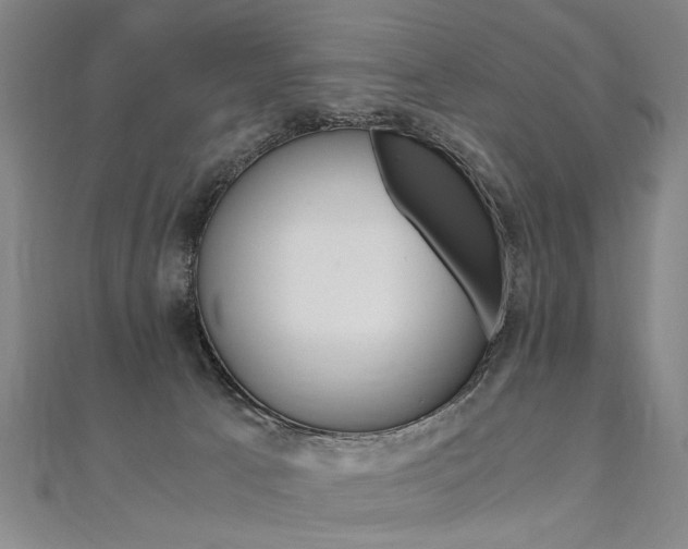 X0000110690033200906121105