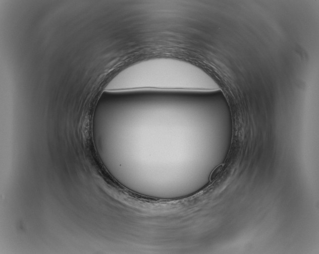 X0000110690036200906121105