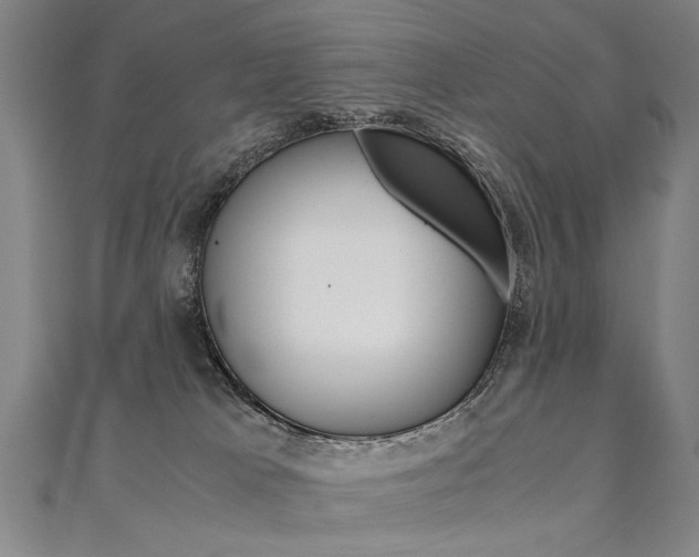 X0000110690037200906121105