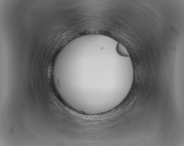 X0000110690038200906121105