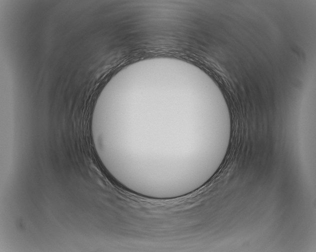 X0000110690039200906121105