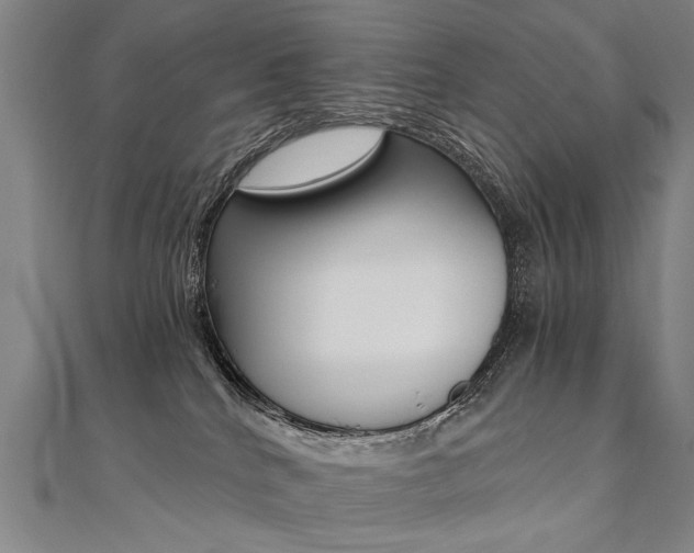 X0000110690040200906121105