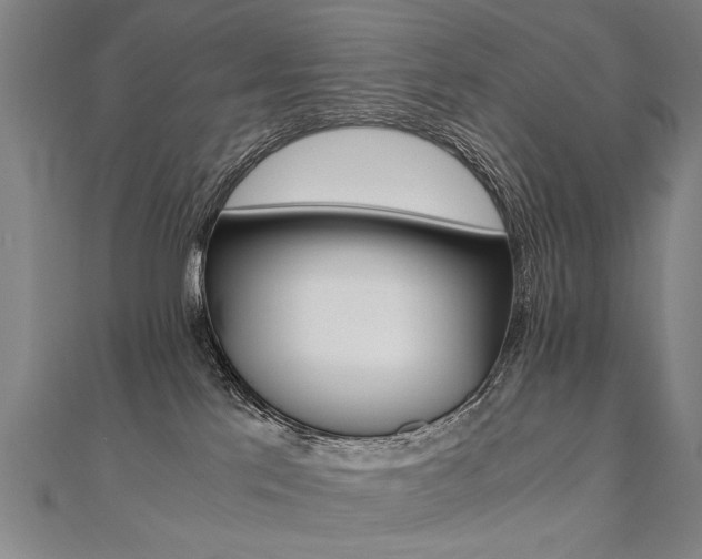 X0000110690041200906121105