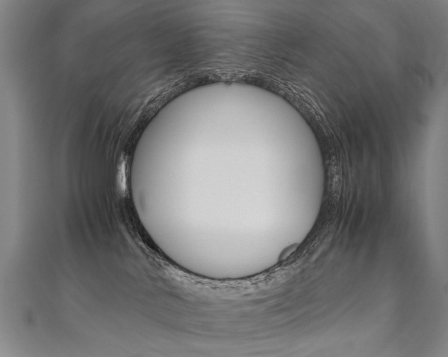 X0000110690042200906121105