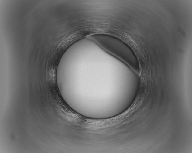 X0000110690045200906121105