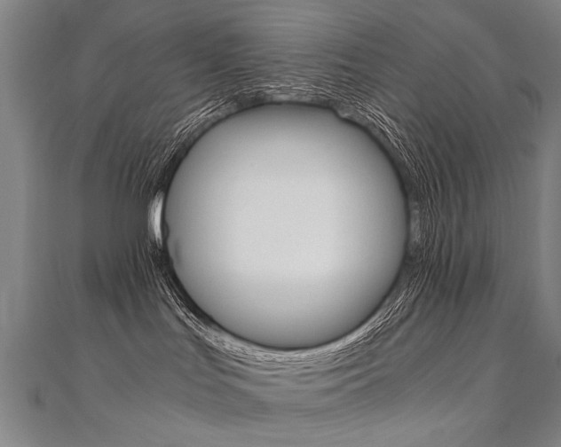 X0000110690047200906121105