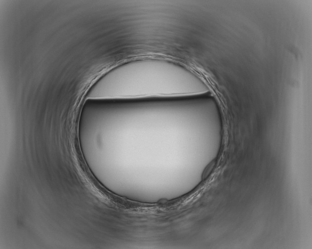 X0000110690049200906121104