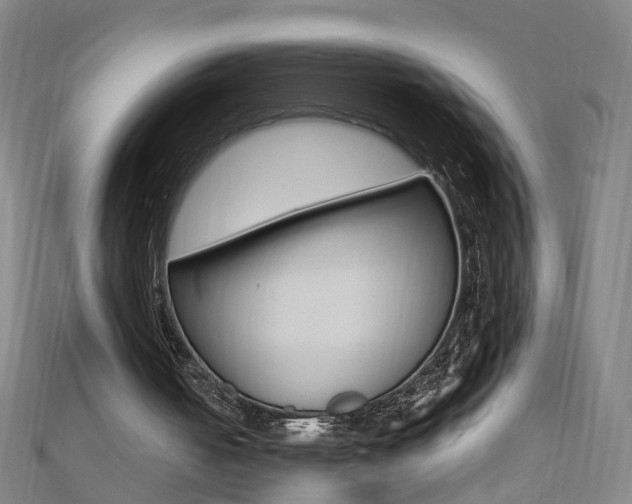 X0000110690050200906121104