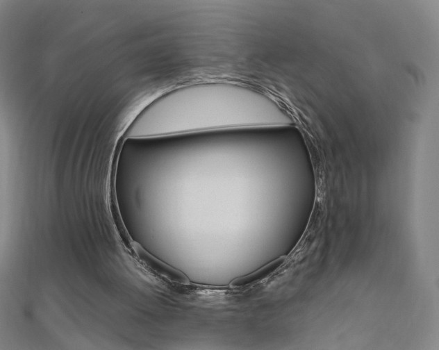 X0000110690052200906121104