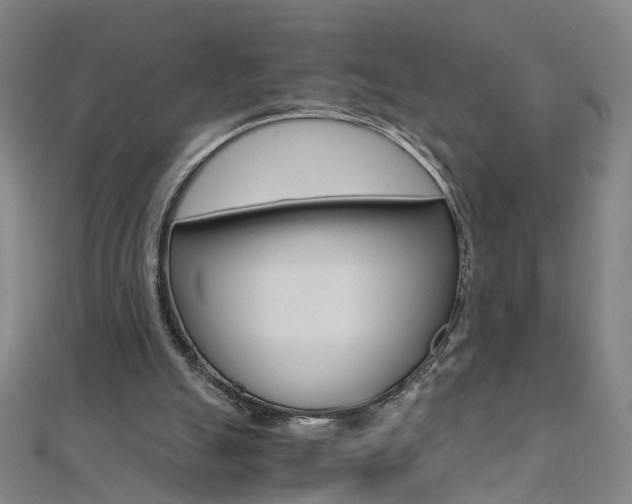 X0000110690055200906121104