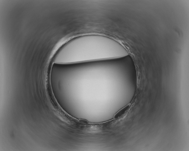 X0000110690056200906121104